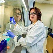 Dicto clases de química general, química orgánica y bioquimica
